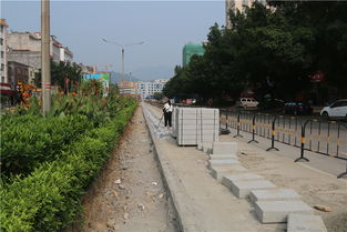 阳山多条市政道路改造工程陆续动工建设